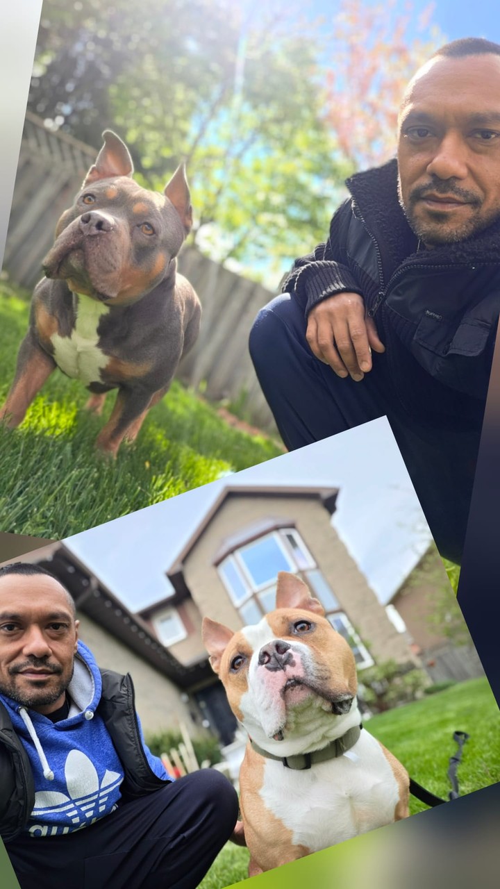 Taran with his two dogs, Chaps and Yuki.