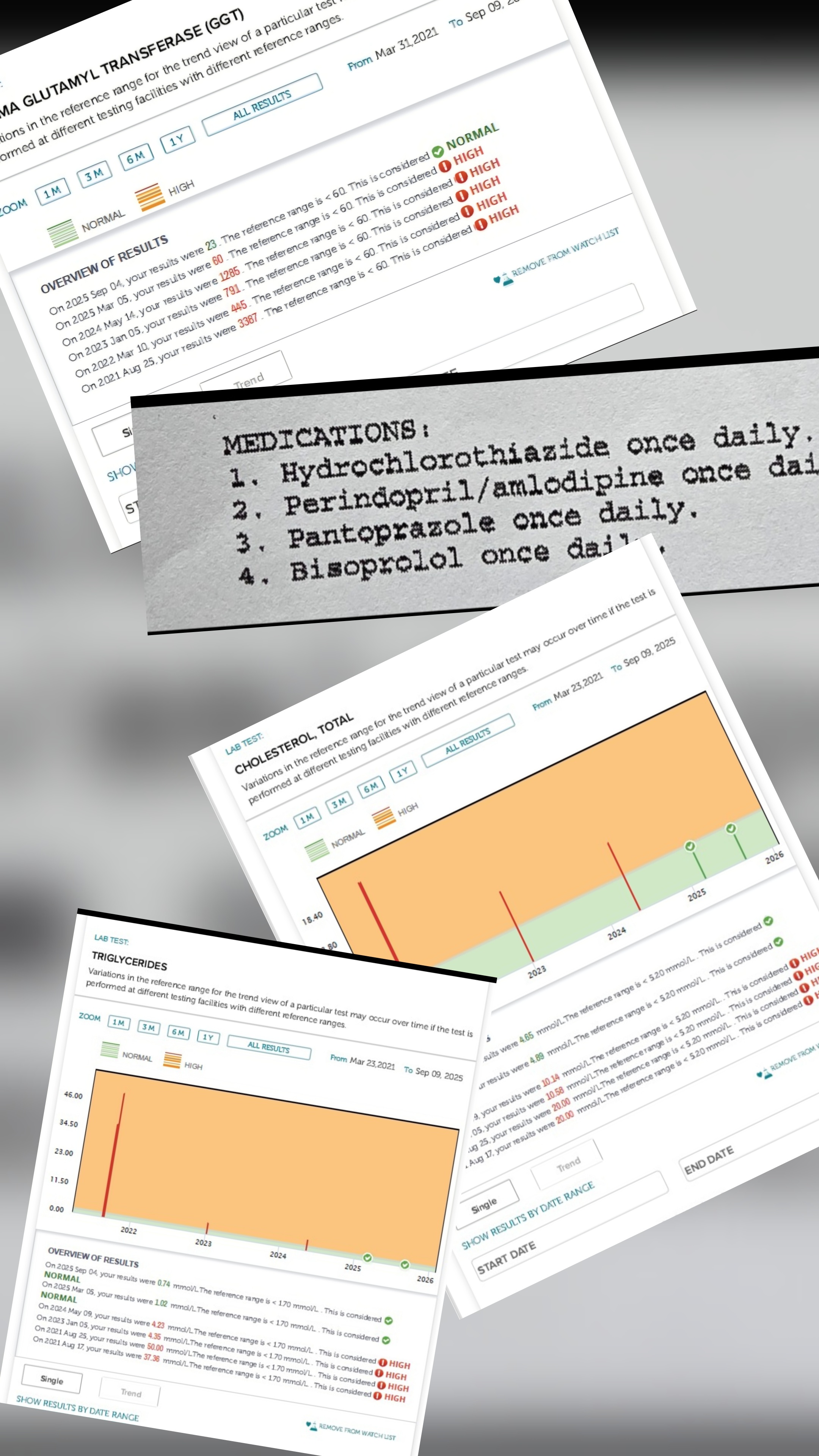 Lab reports and medication list documenting the rebuild